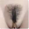 PUBIC HAIR
