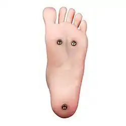 Standing (FREE)